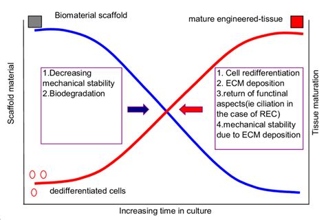 Summary of the aspects of tissue engineering. | Download Scientific Diagram