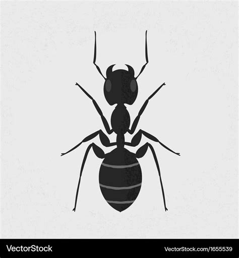 Ant Royalty Free Vector Image - VectorStock