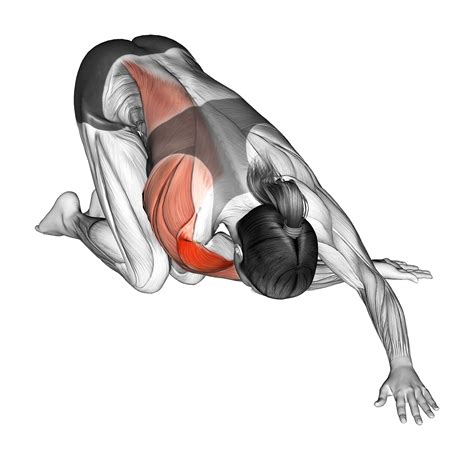 3 Best Rear Deltoid Stretches (with Pictures!) - Inspire US