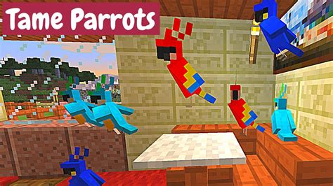 How To Tame A Parrot Minecraft Tutorial YouTube