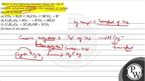 Which Of The Following Equation Shows The Role Of Carbonic Anhydrase