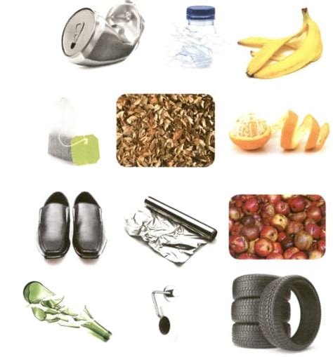 Differentiate Between Biodegradable And Nonbiodegradable Wastes