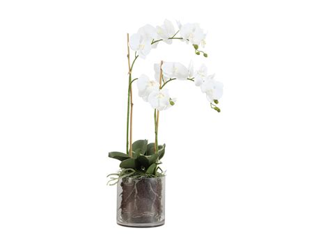 Composition D Orchid E Artificielle Avec Vase Transparent Petit Format