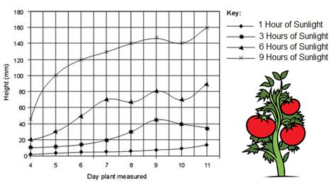 Interpreting Graphs Worksheets Library