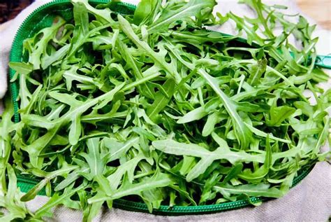 What Is Rocket Lettuce (aka Arugula) & How To Use It?