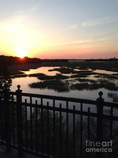 Riverdogs Stadium Sunset Photograph by Wild Haven Photography - Fine Art America