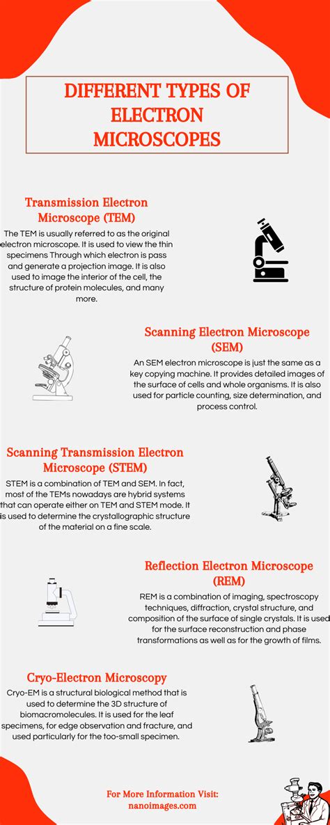 Scanning Electron Microscope Images, Easy Disney Drawings, Microscopic Images, Chemistry Lessons ...