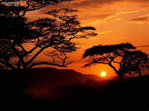 Tanzania Amazing Sunsets Beautiful Sunset Beautiful Pictures