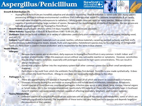 Aspergillus and Penicillium – Newton Microbial Laboratory