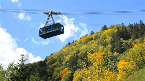 【公式】大雪山層雲峡・黒岳ロープウェイ 豊かな自然をロープウェイから眺める楽しいひととき