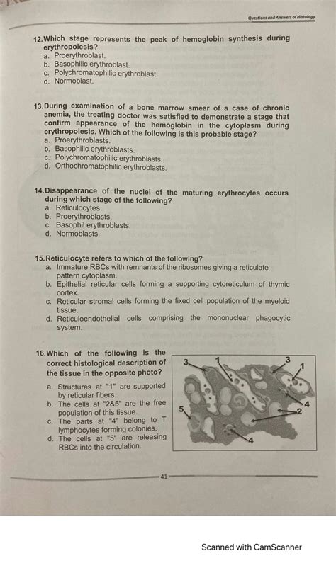 Solution Mcq Blood Histology Studypool