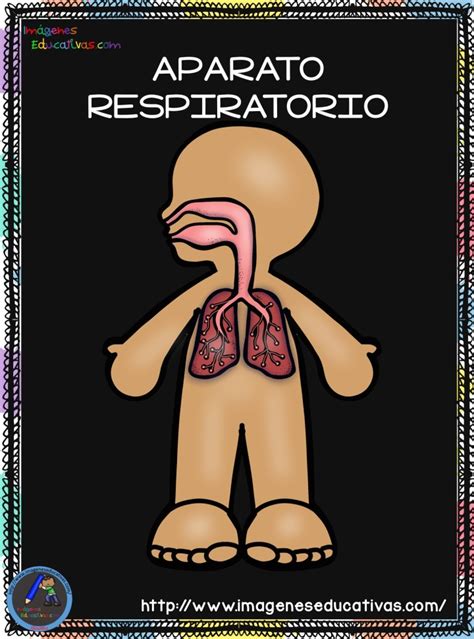 Dados Y Fichas Para Trabajar De Forma Divertida Las Diferentes Partes Del Cuerpo