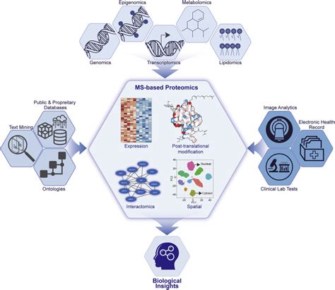 Artificial Intelligence For Proteomics And Biomarker Discovery Cell