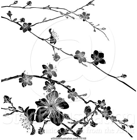 Vector Illustration of Black and White Cherry Blossom Branches ...