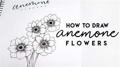 Draw The Anemone Flower Simple Easy Steps Youtube