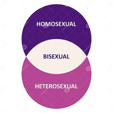 Infographics About Sexual Orientation Concept Of Sexuality Stock Vector Illustration Of Human