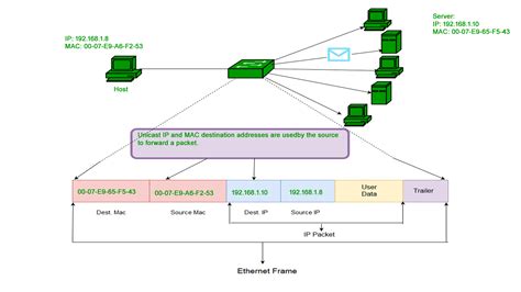 How To Find Network Mac Address Lineaso