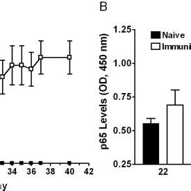 Tpca Inhibits Lps Induced Tnf Il And Il Production By Human