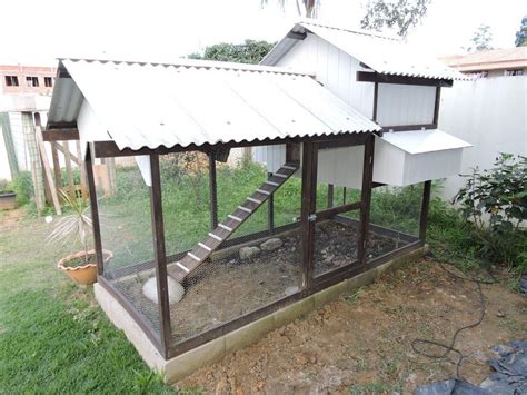 Galinheiro 2 Canto Da Madeira Greenhouse Awning Gazebo Farm