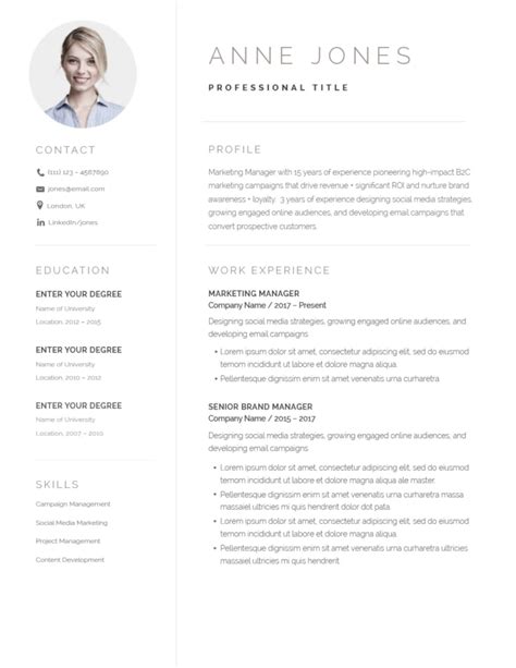 Professional Resume Templates For Any Job Resumeway