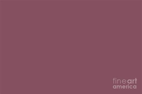 Light Plum Purple Pink Solid Color Pairs To Sherwin Williams Aged Wine