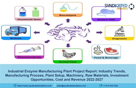 Industrial Enzyme Project Report Plant Setup Industry Trends Business Plan Raw Materials