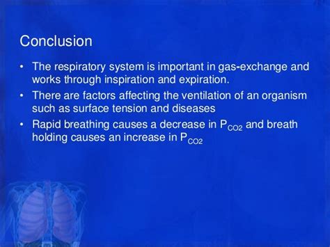 Physio Ex Respiratory System