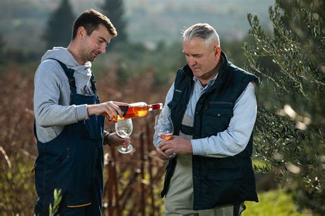 Slobodna Dalmacija Dva brata otkrivaju šta je ključno za dobro vino