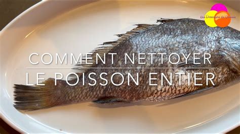 Nettoyer Un Poisson Comme Un Chef Guide Complet Pour Débutants Youtube