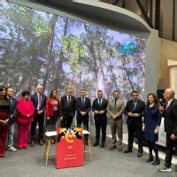 Camara De Comercio De Lanzarote Y La Graciosala C Mara De Comercio De