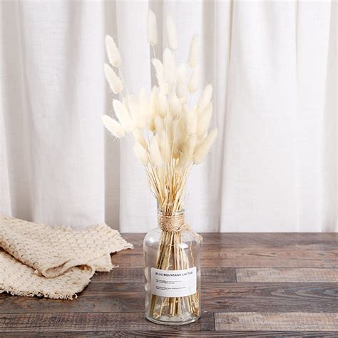 Donghome 120pcs Bunny Tails Dried Flowers Boho Home Decor Flower Arrangement Pampas Grass