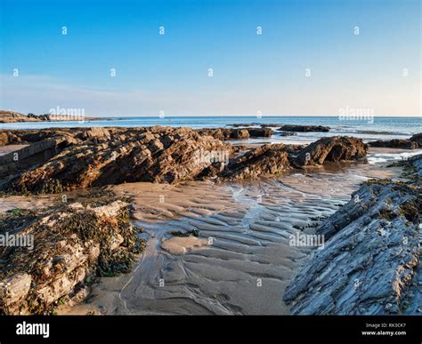 Bovisand Beach And Bay Devon Uk At Low Tide With Clear Blue Sky