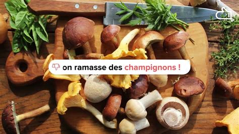 Décrypter 68 imagen marmiton champignons de paris fr thptnganamst edu vn