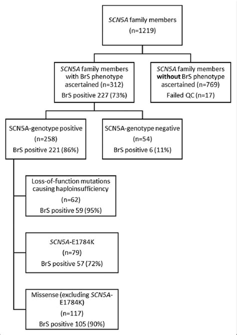 Flow Diagram Summarizing Inclusion And Numbers Of Individuals Separated