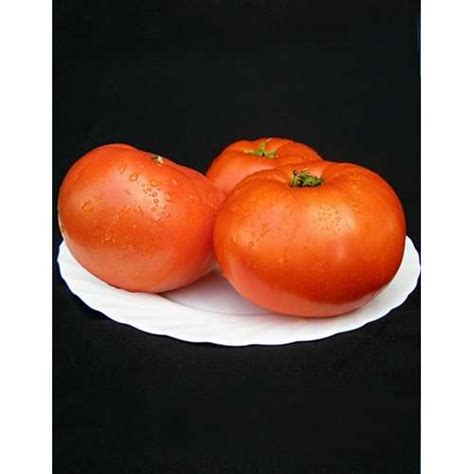 Купить Мирсини F1 - томат детерминантный, 1 000 семян, Seminis (Семинис ...