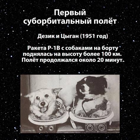 Космические животные-первопроходцы