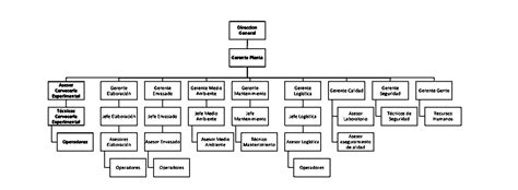 Introducir Imagen Estructura Organizacional De Cerveceria Modelo