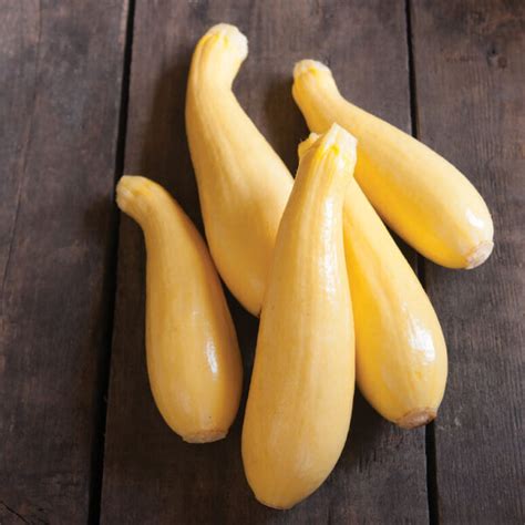 Multipik Yellow Squash Lazy Eight Stock Farm