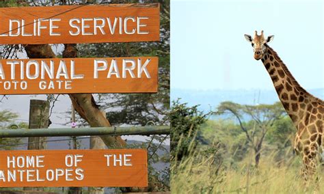 Safari Activities To Do At Ruma National Park Kenya Safaris