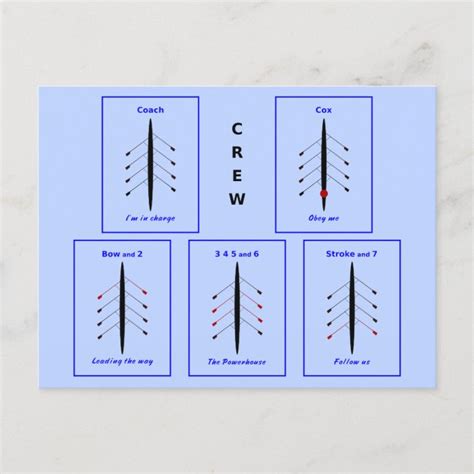 rowing crew positions blue sport postcard | Zazzle.com