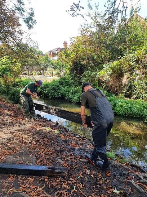 Palewell Beverley Brook Restoration Project Barnes Common Limited