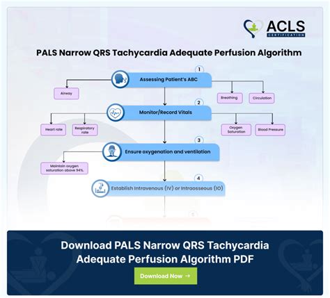 Comprehensive Pals Bradycardia Algorithm