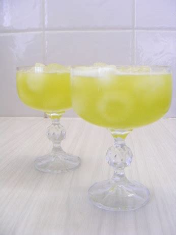 Tipsy Turtle Recipe - Food.com