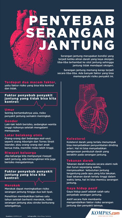 Infografik Penyebab Serangan Jantung