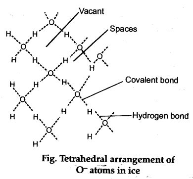 Describe the structure of common form of ice? - CBSE Class 11 Chemistry ...