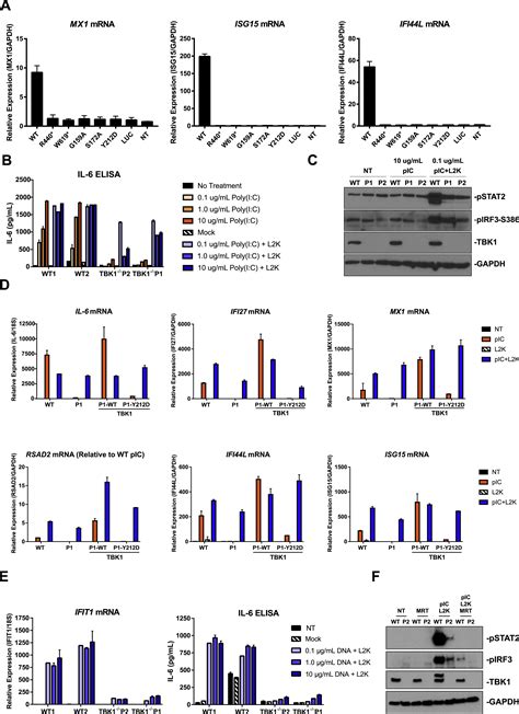 Human Tbk1 Deficiency Leads To Autoinflammation Driven By Tnf Induced