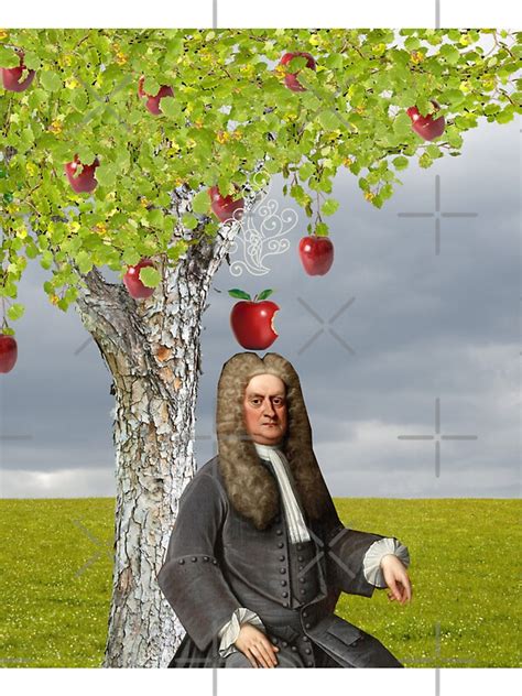 "Isaac Newton Apple Tree" Stickers by red-leaf | Redbubble