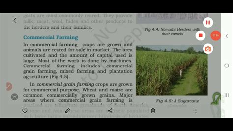 Class 8th Geography Chapter 4 Agriculture Part 4 Youtube