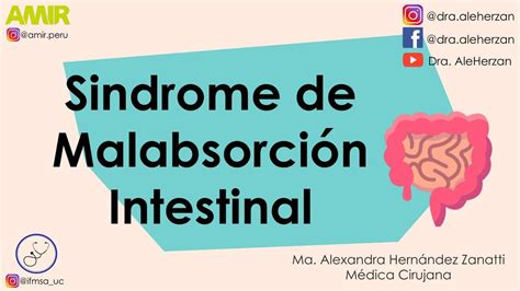 Digestion Sindrome De Malabsorcion Intestinal Dra Ale Herzan Udocz