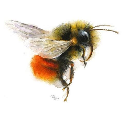 Bumble Bee Watercolor at PaintingValley.com | Explore collection of Bumble Bee Watercolor